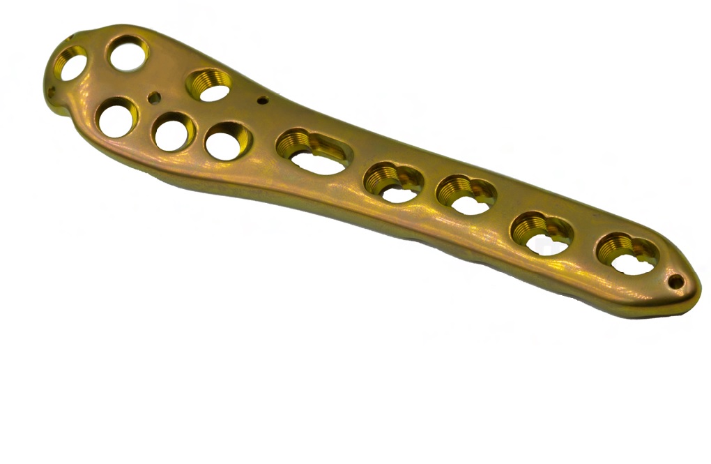 PROXIMAL FEMUR